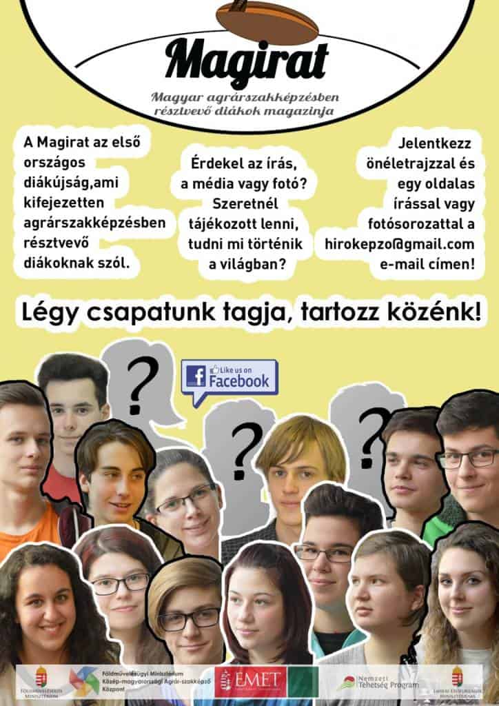 Lúdtollnokok II. plakát
