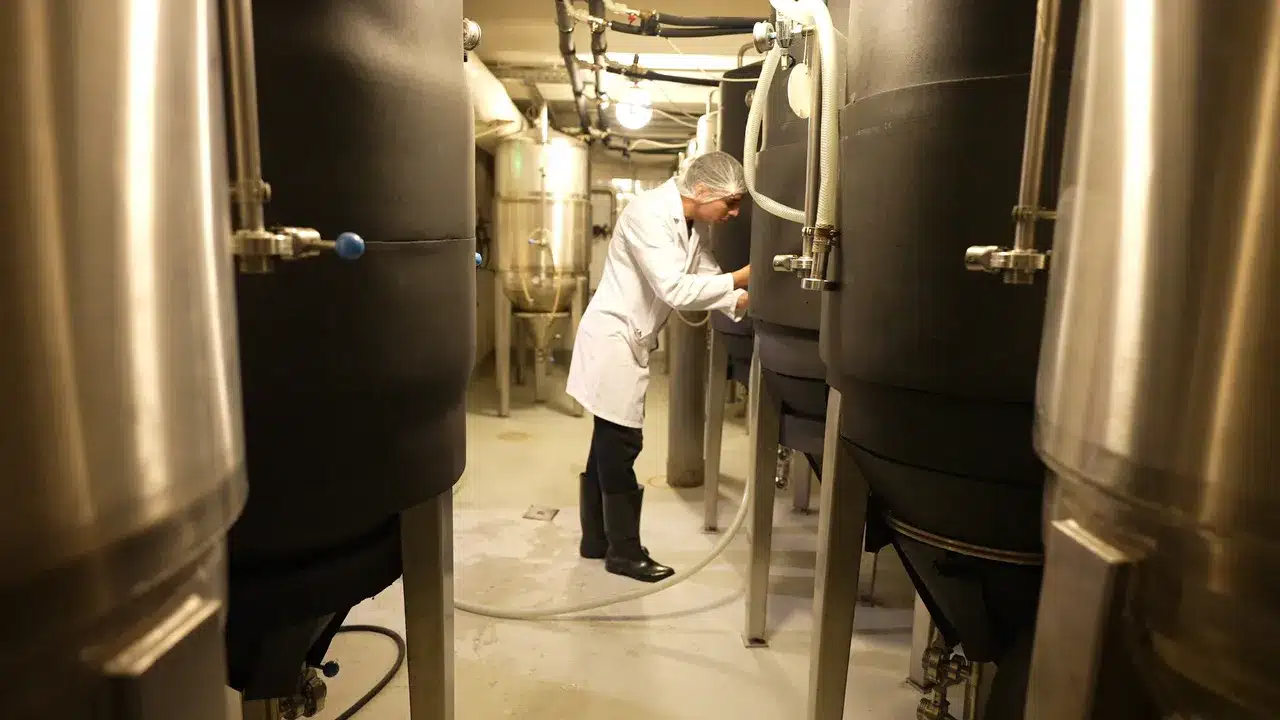 Laboratóriumi minőségellenőrzés a képzésen