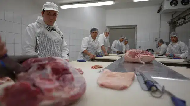 Hentes gyakorlat – feldolgozás