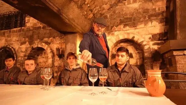 Szőlész-borász gyakorlat – pince