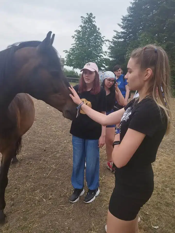 Dániai gyakorlat 8