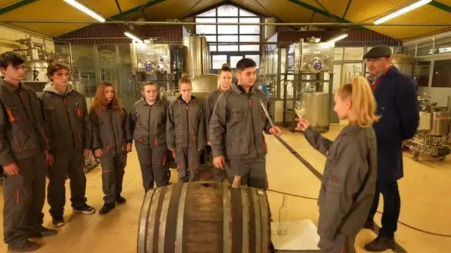 Bor- és pezsgőgyártó technikus képzés – borminősítés