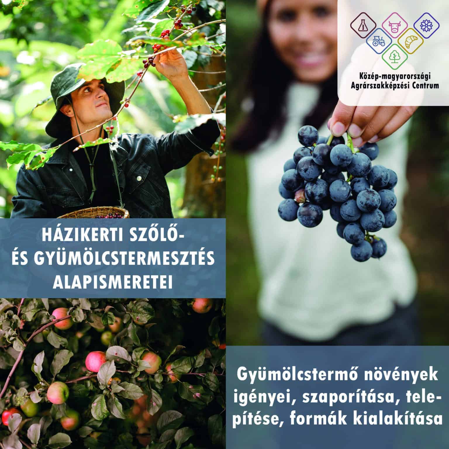 Házikerti szőlő- és gyümölcstermesztés alapismeretei tanfolyam