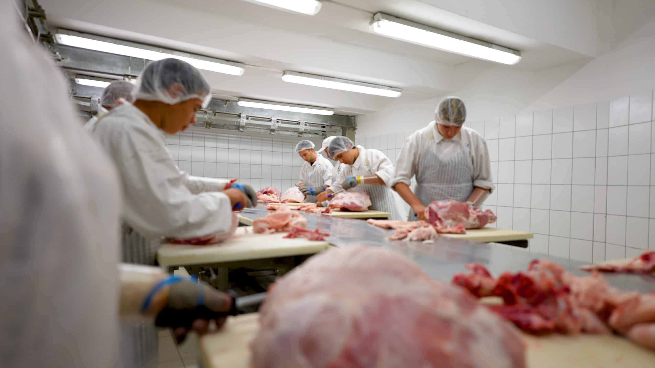 Húsipari technikus képzés – húskészítmény-gyártás