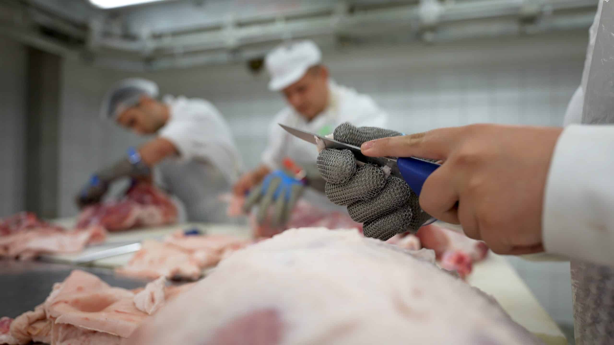 Húsipari technikus képzés – húsfeldolgozás