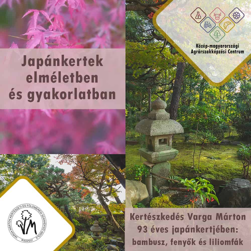 Japánkertek elméletben és gyakorlatban tanfolyam – Varga Márton 93 éves japánkertje: bambusz, fenyők és liliomfák