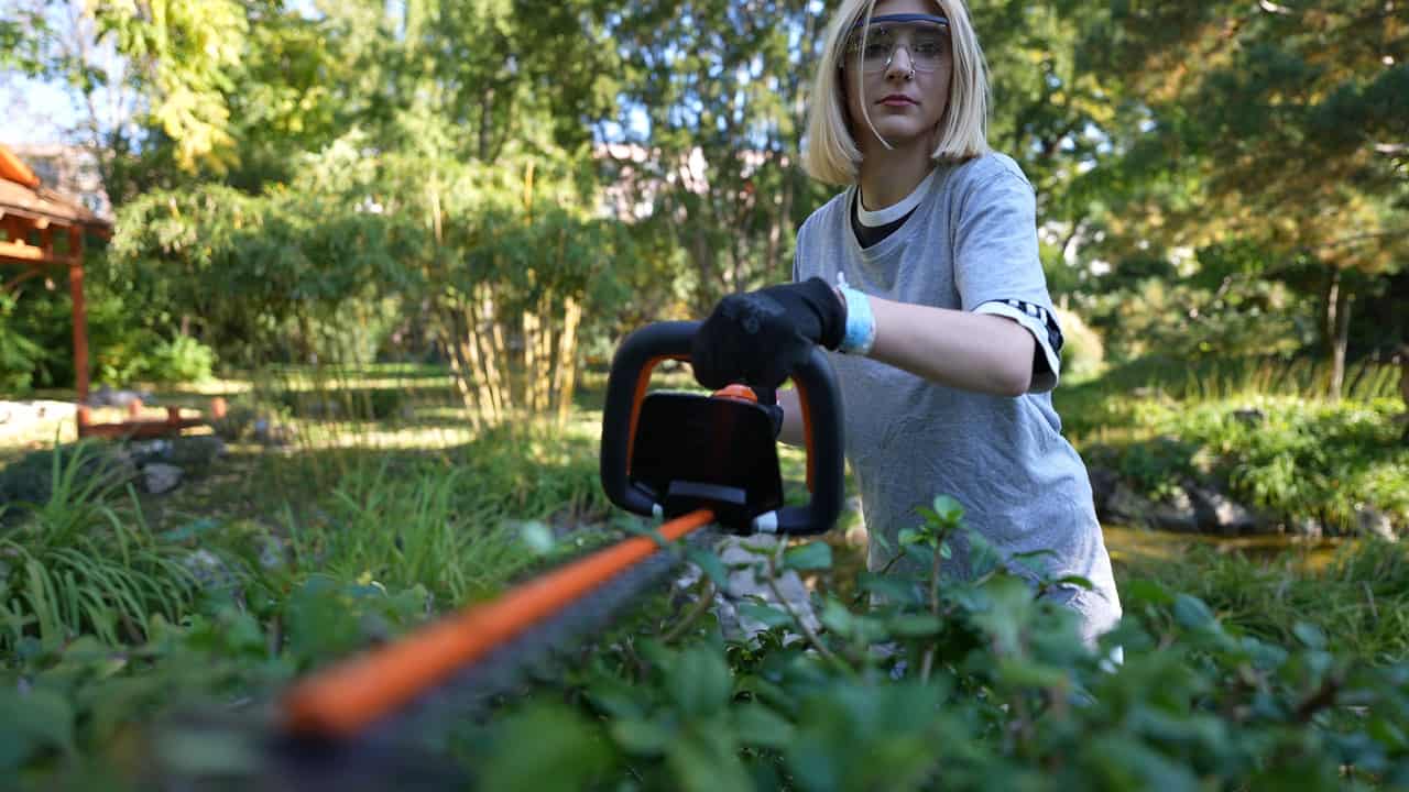 Kertésztechnikus képzés – csoportos gyakorlat