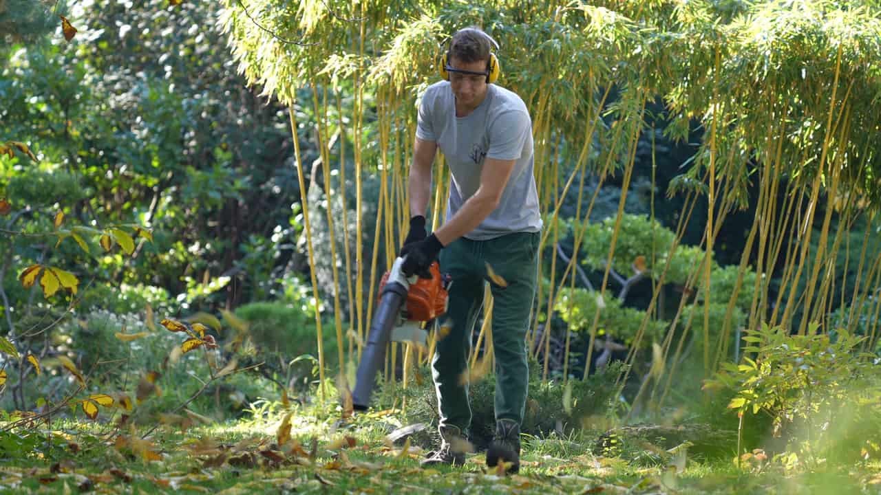 Kertésztechnikus képzés – herba feldolgozás