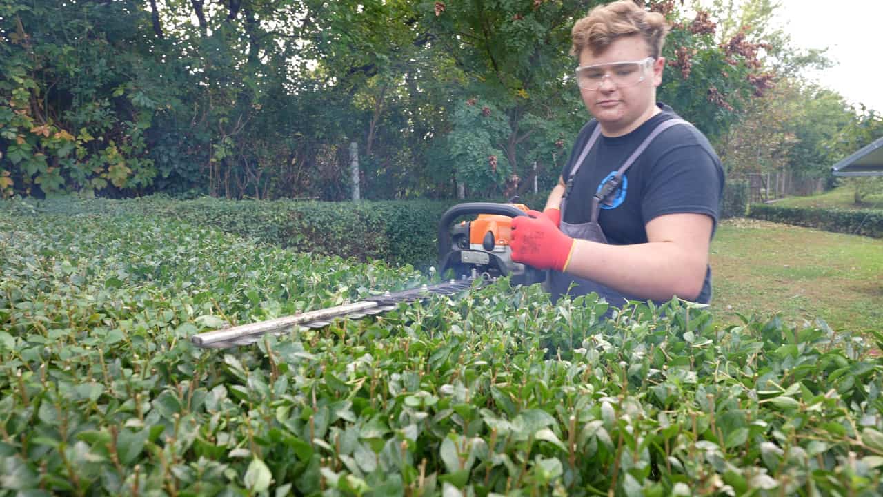 Kertésztechnikus képzés – telepítés