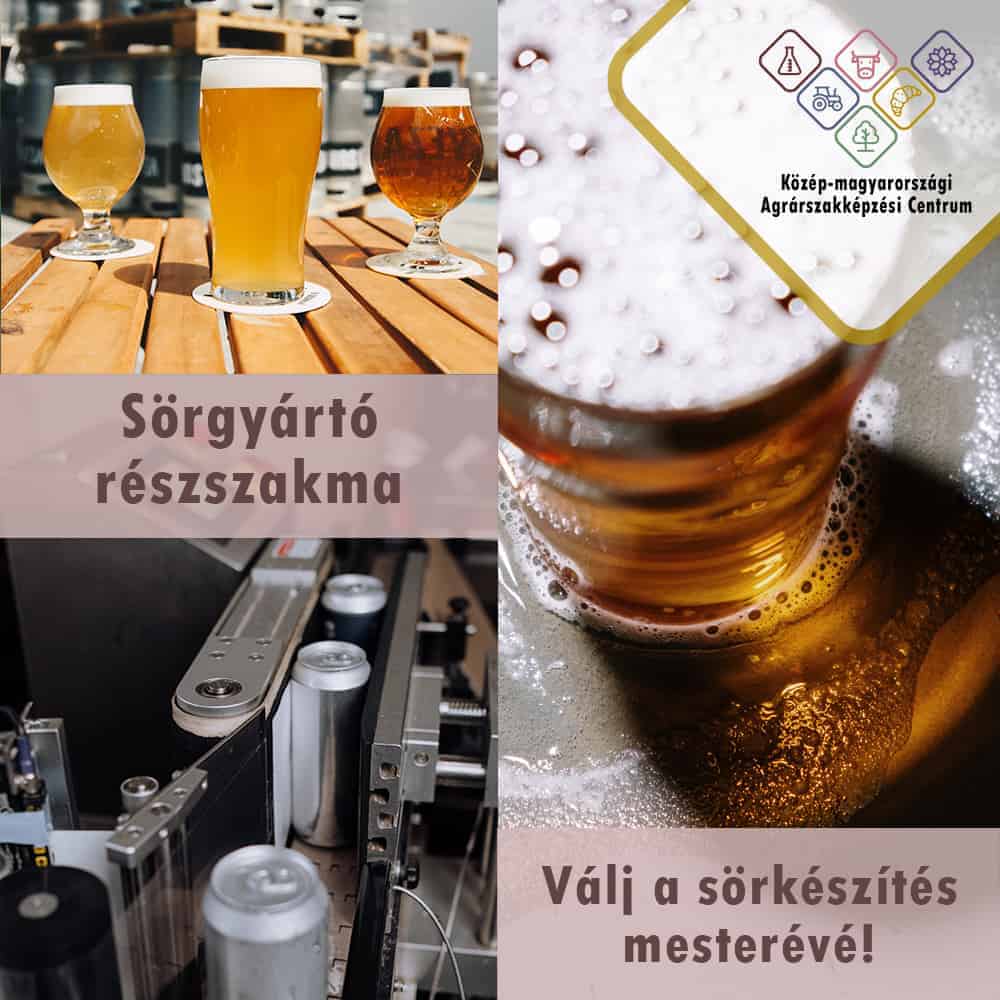 Sörgyártó részszakma képzés – kisüzemi sörfőzde